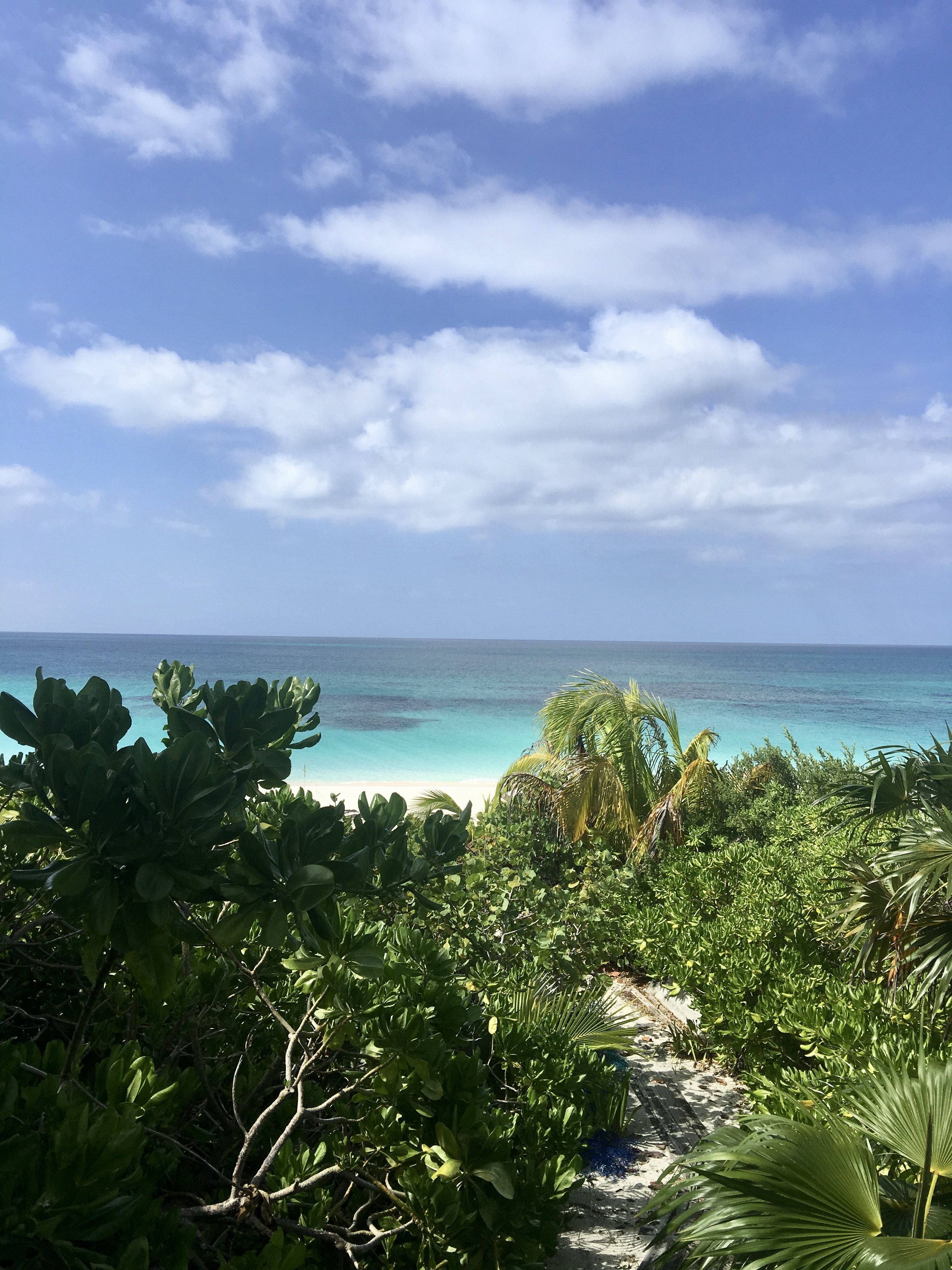 Trip Report: Abacos, Bahamas