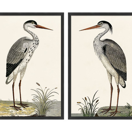 blue heron framed prints